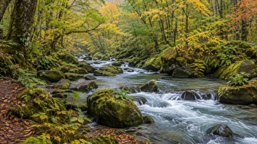 AI-generated illustration of a forest stream and mossy rocks inspired by Oirase Gorge, Aomori.