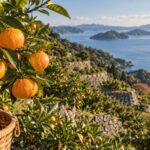 AI-generated illustration of ripe mandarins and terraced citrus orchards above a blue sea, inspired by the coast of Ehime, Japan.