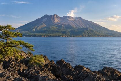 AI-generated illustration of Sakurajima across blue Kinko Bay, with volcanic rocks and a pine in the foreground, inspired by Kagoshima.