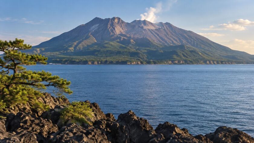 AI-generated illustration of Sakurajima across blue Kinko Bay, with volcanic rocks and a pine in the foreground, inspired by Kagoshima.