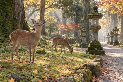 AI-generated illustration of two sika deer beside mossy stone lanterns in an autumn woodland inspired by Nara Park.