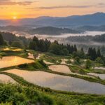 AI-generated illustration of water-filled rice terraces at sunrise, inspired by Tokamachi in Niigata, Japan.