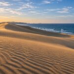 AI-generated illustration of golden coastal sand dunes with wind ripples and a blue sea, inspired by the Tottori Sand Dunes.