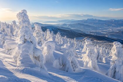 AI-generated illustration of snow and rime-covered fir trees on a mountain slope, inspired by Zao, Yamagata.