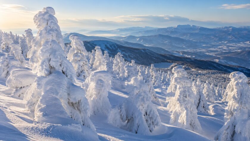 AI-generated illustration of snow and rime-covered fir trees on a mountain slope, inspired by Zao, Yamagata.
