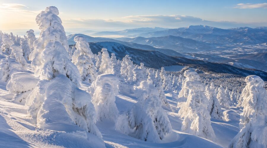 AI-generated illustration of snow and rime-covered fir trees on a mountain slope, inspired by Zao, Yamagata.